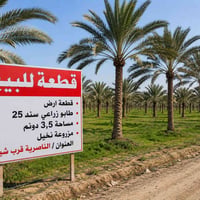الناصرية • ٣.٥ دونم • سند ٢٥