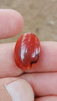 اليماني الانسي • الحر الملكي • احجار علي الحسيني