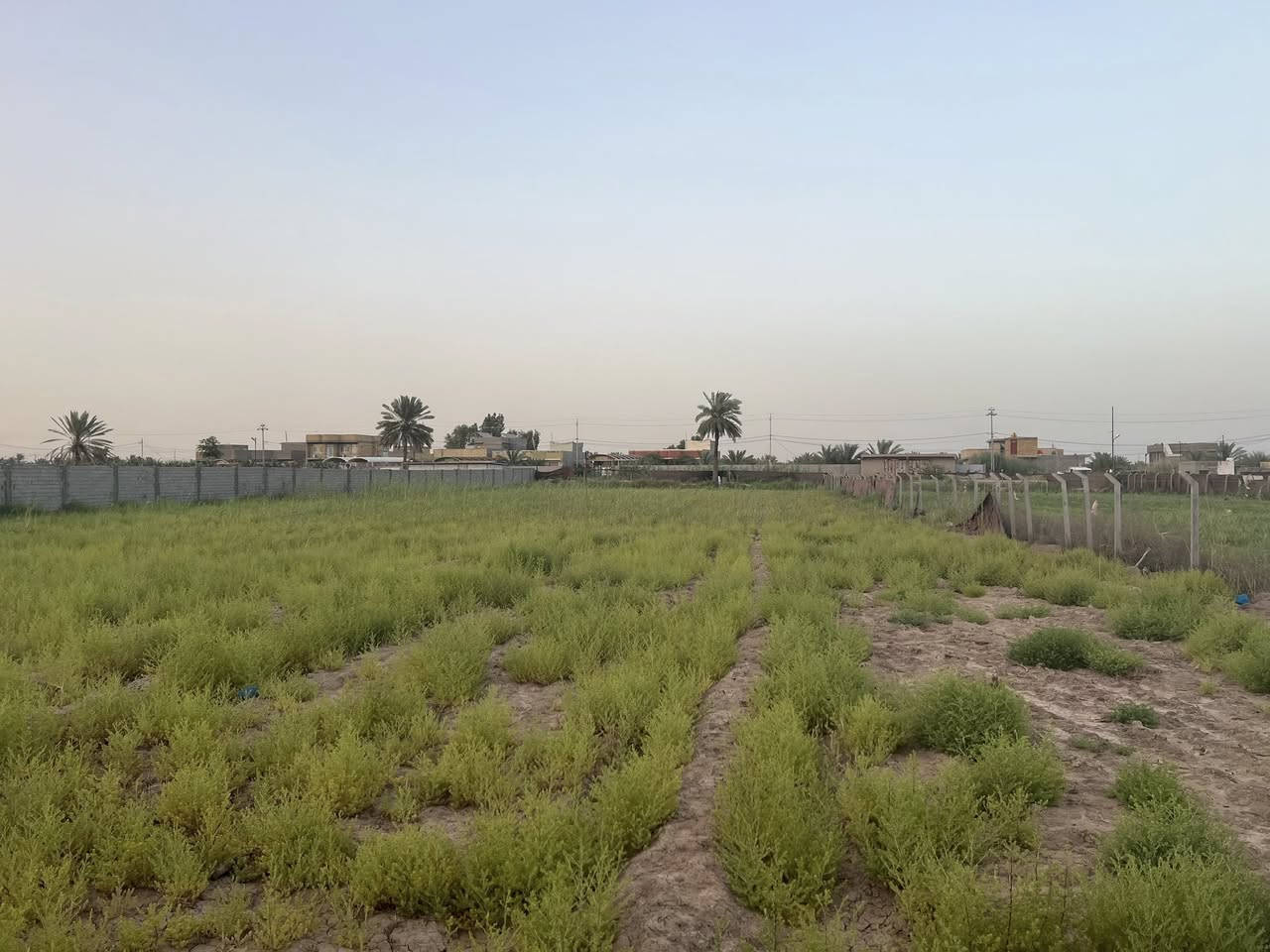 2دونم للبيع طابو زراعي سند 25باسم البائع

عالشارع سنتر مسيج من اربعه جهات

خدمات كامله ماء كهرباء تبليط

الموقع //ورديه داخل منطقه الامام

للاستفسار اكثر الاتصال على الرقم 

***********
