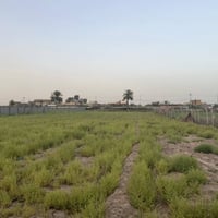 ٢ دونم • طابو زراعي • سند ٢٥