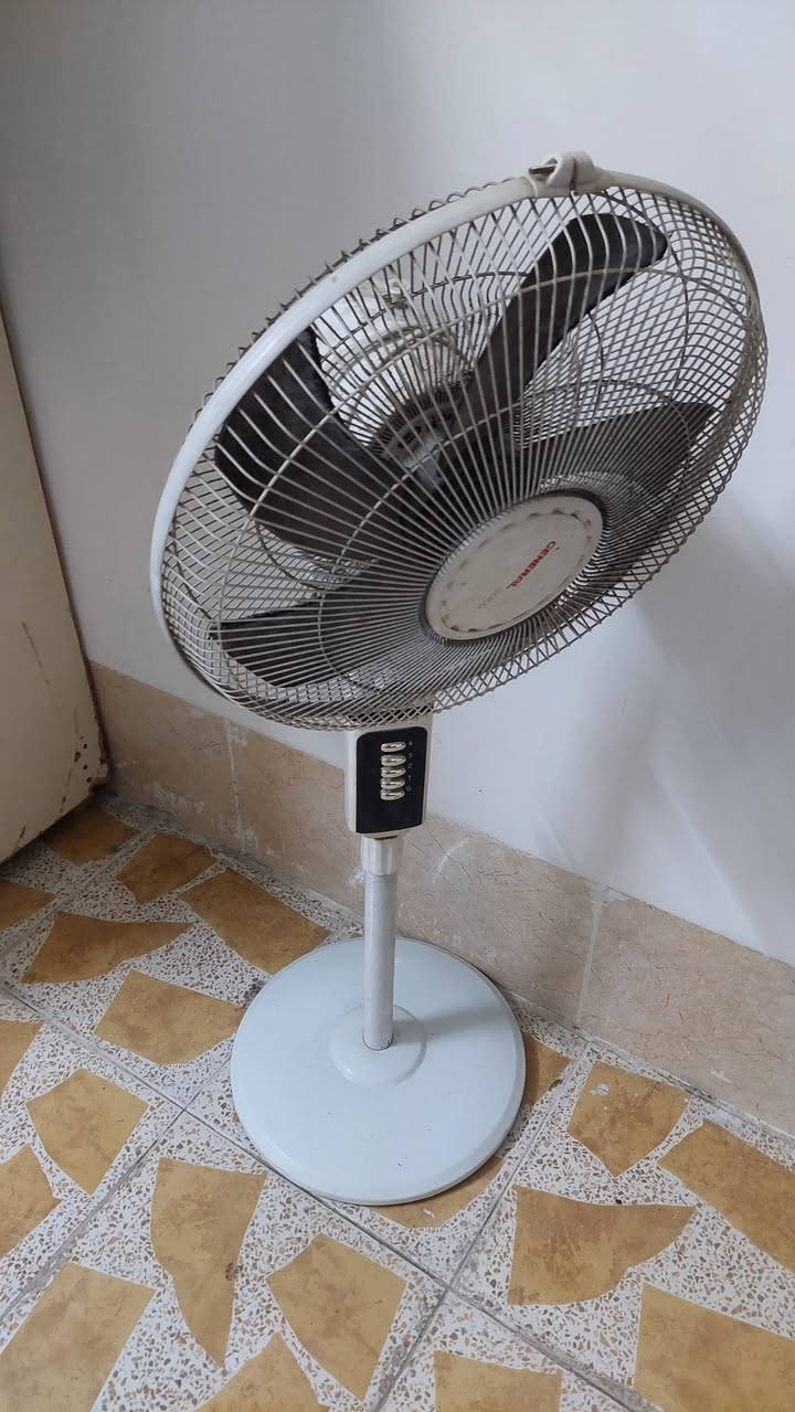 أغراض بيت للبيع


**إذا كنت صاحب هذا الإعلان وتريد حذفه لأي سبب، رجاءا أرسل رسالة إلى الدعم الفني**
