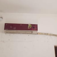 سبلت • شغال • ثلج