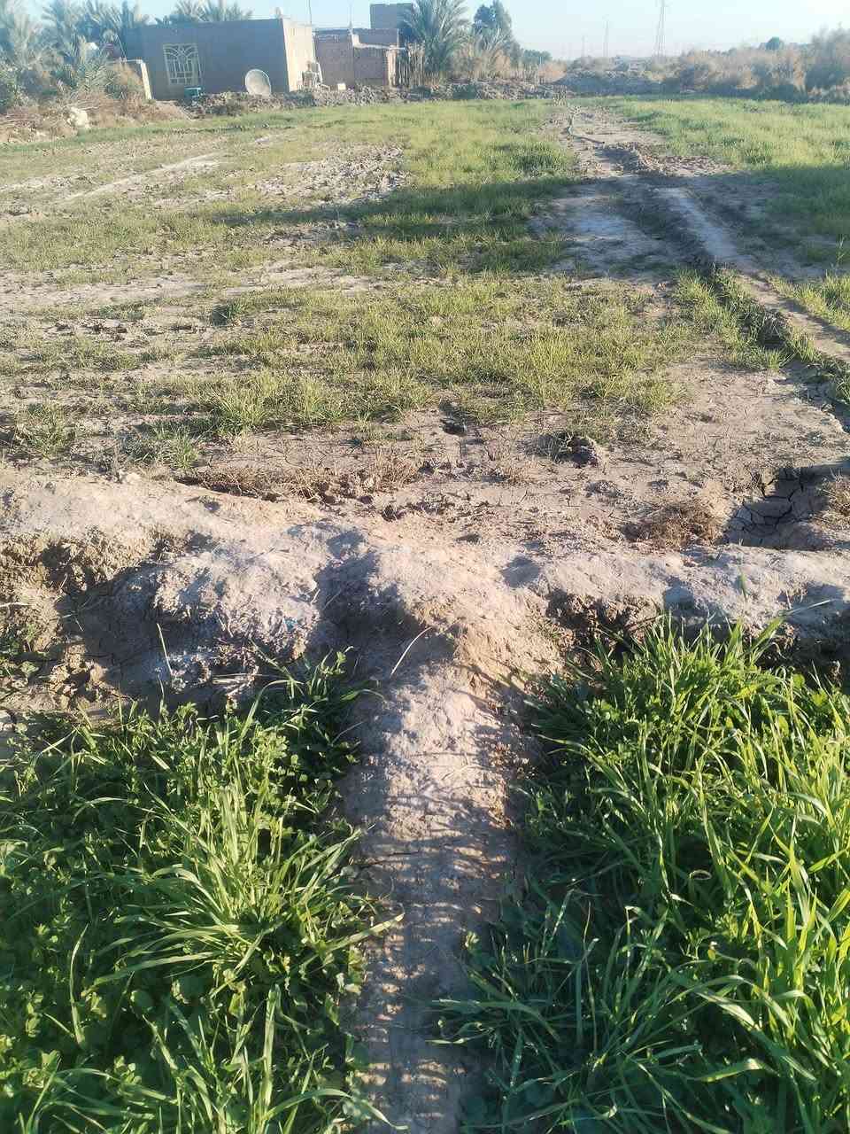 ياالله
ارض اللبيع  ارض زراعيه عقد 35 بسمنه
اكثر من ثنين دونم 
متوفر بيه كهربا 
متوفر بيه ماطور ماي كهربايئ مع صواند مع برينه 
عنوان الحمزه الشرقي  الجعفريه 
الستفسار ع الرقم *********** ايضن الخاص مفتوح
