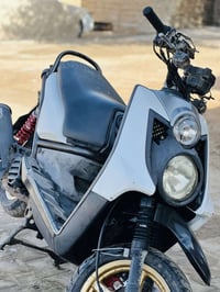 سكنس جبلي • ٢٠١٠ • مامفتوح