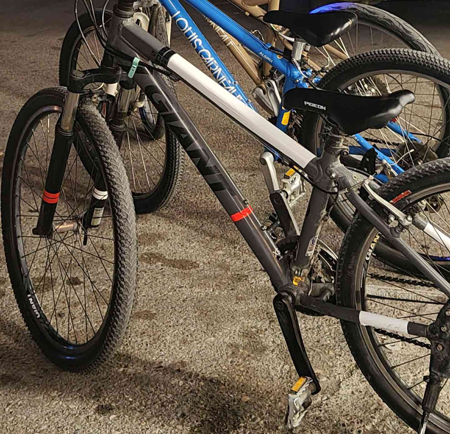 للبيع جينت سناب لشه ناصية (المرغوب) البايسكل ما ينقصو اي شي استخدام قليل حيل سعر 215الف بي مجال حك جيتك تواصل *********** غير متواجد على الخاص
