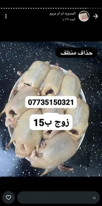 حذاف خشن ومنضف للجدر زوج 15 توصيل الفين   رقم الحجز 07735150321