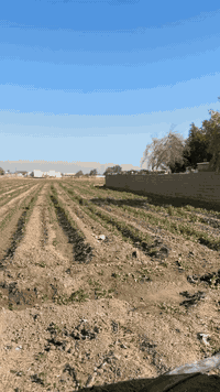 السلام عليكم دونمين موقع كلش حلو على شارعين مثل مموضح بل فديو كل خدمات متوفره وتبليط يبعد ١٠٠ متر مفروش سبيس لاستفسار اتصل 
*********** @إشارة
