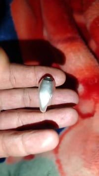 سليمانيه • ناعمه • شرط صياغه