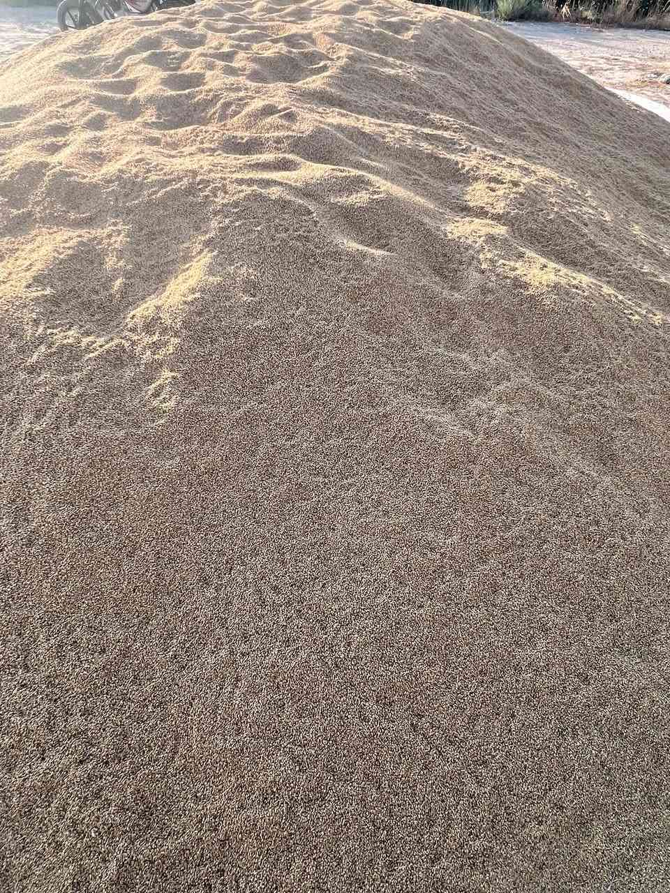 السلام عليكم يوجد حنطه  بذور نوع عربيه بيزانو انتاج خير من الله نضيفه كلش درجه اولى عنوان ديالى بلدروز 
***********
