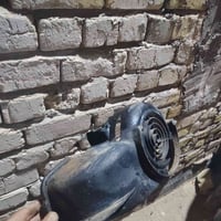 كفر • دولفين بلادي • قيم