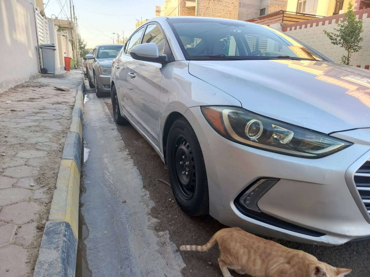 النترا امريكي 17 فول ماعدى الفتحة كير اي تي مكينة دوش  
حادثها قبق جنطة ومبدل بلادي وباب السايق مصبوغ  رقم بابل باسمي السعر 123 بية مجال قليل  مكان السيارة واسط/الكوت

للاستفسار ***********
