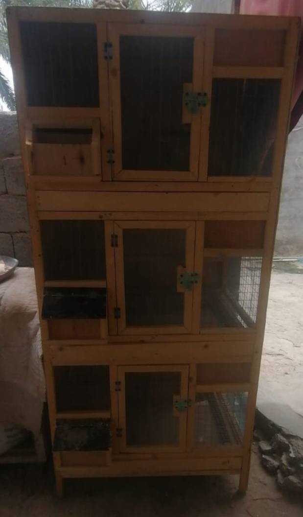 مكلف بالنشر
قفص خشب ثلاث خانات ارتفاع 180 عرض87 طول54 السعر خاص الرقم بي واتساب واتصال ***********
