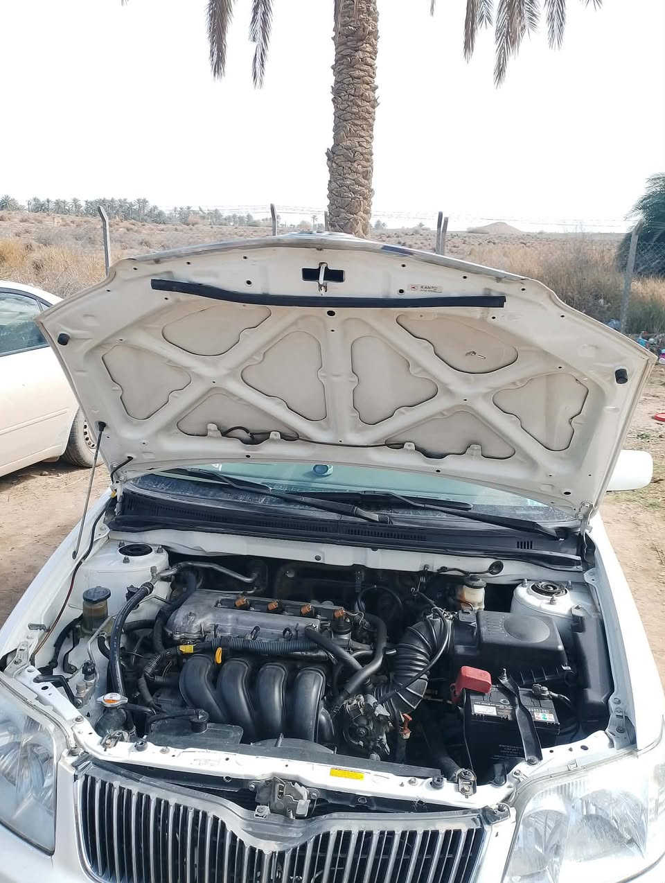 كورلا 2007
مكينه كير جدد

رقم بغداد لماني سنويه بعدها ما نافذه

السعر 115 

المكان السياره حله النيل📍

ملاحظه مكلف ب نشر ‭0782 502 3116‬
