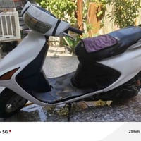 فراشة فحل • مكفولة • هاشمية