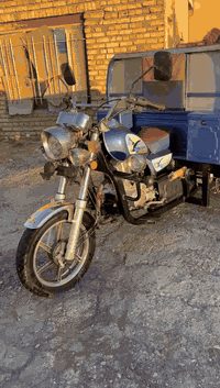 سلام عليكم 
 ستوته للبيع 
صقر 
مكفوله كفاله عامه 
***********
