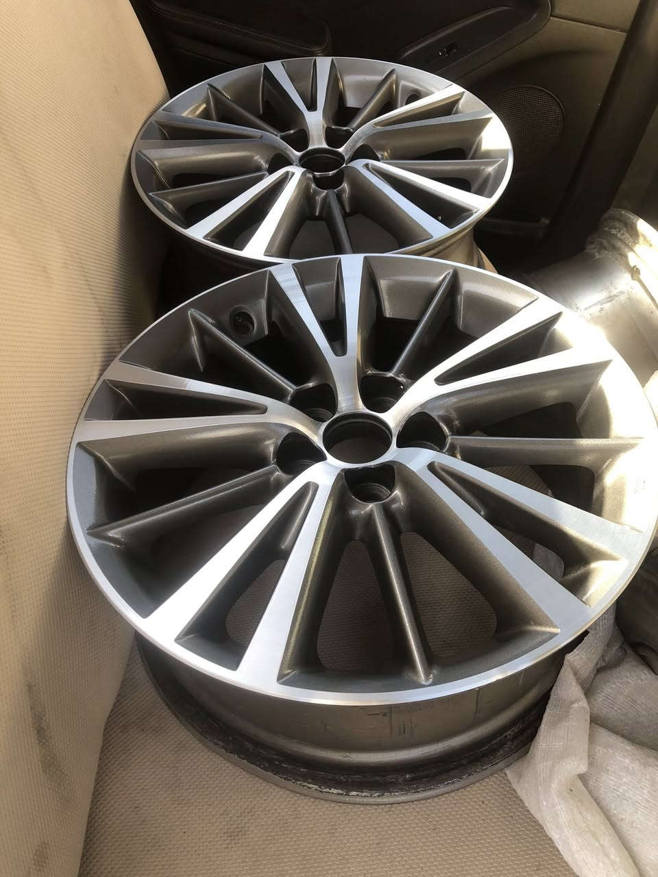 تخم ويل كب كورلا اصلي حجم ١٦  بيع او مراوس بغداد غزاليه ***********
