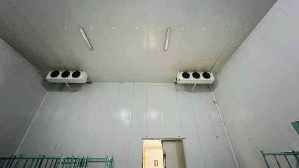 قاعات للايجار مبرده تحتوي على اجهزه تجميد وتبريد  حديثه  الحجم ١٢x١٤والارتفاع٧
للاسفسار***********
