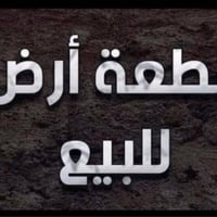 قاطع روتانا • ٣٠٠م • أرض