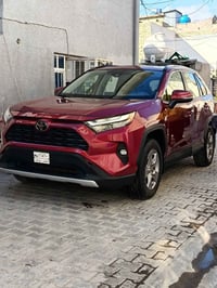 ٢٠٢٣ • وارد امريكي • احمر كرزي