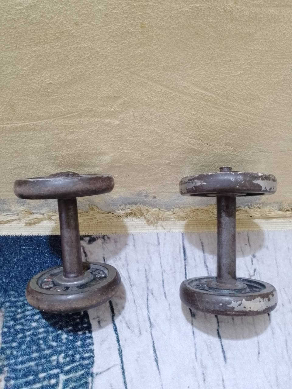 زوج دمبلص 10 كيلو
وزن التك 5 كيلو 

بغداد البياع 

السعر 10 الف


**إذا كنت صاحب هذا الإعلان وتريد حذفه لأي سبب، رجاءا أرسل رسالة إلى الدعم الفني**