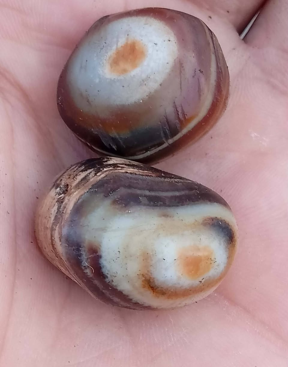 لبيع حجر قديم سعر خاص


**إذا كنت صاحب هذا الإعلان وتريد حذفه لأي سبب، رجاءا أرسل رسالة إلى الدعم الفني**