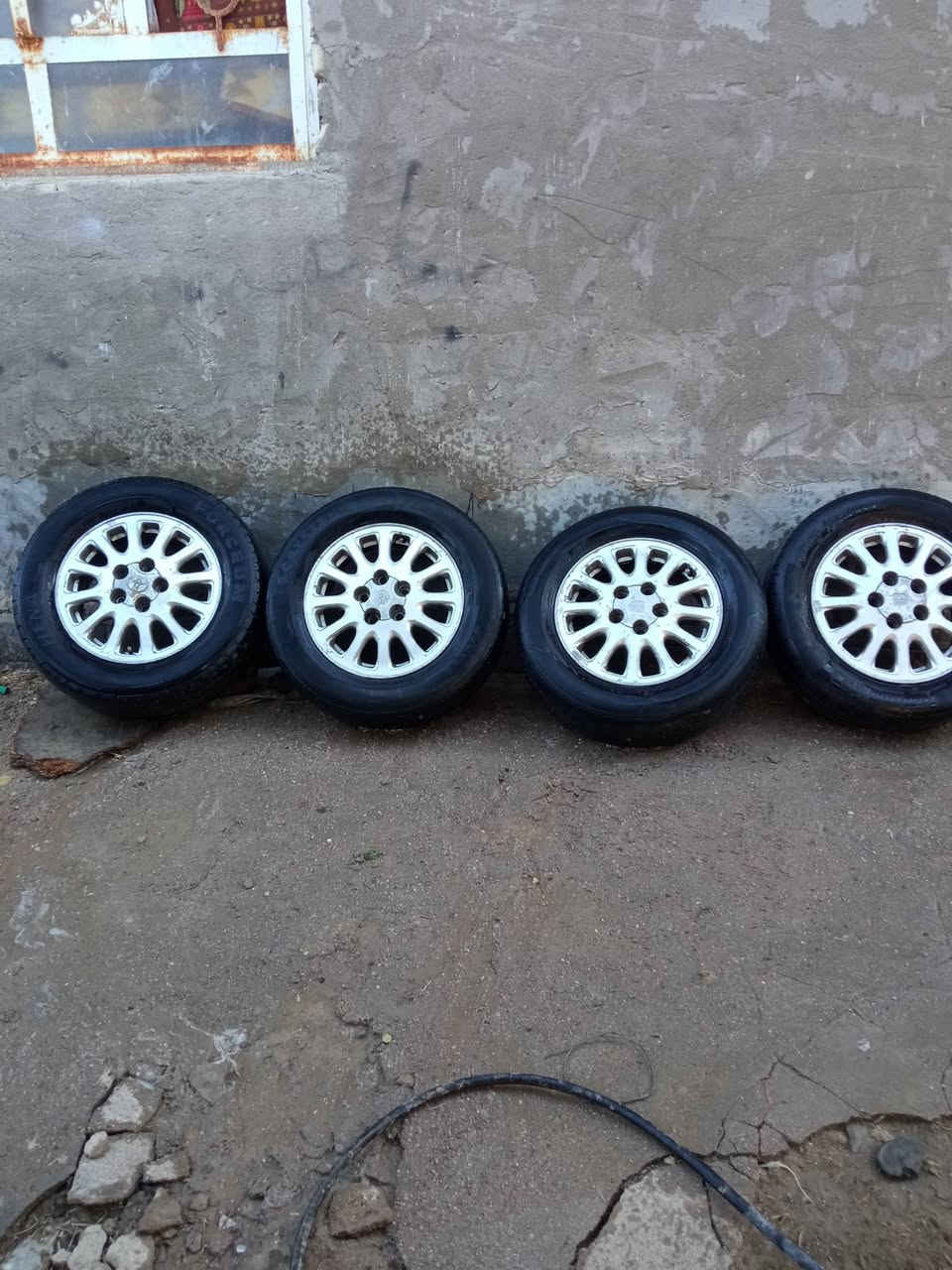 تخم ويل كب اكرستة ١٥٠ الف العنوان قظاءالمدينةالسورة***********
