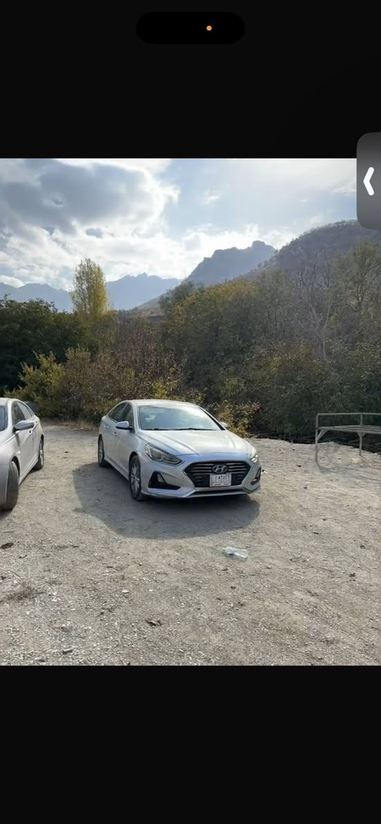 سوناتا 2018 حادثه جاملغ وربع البنيد وبيه 3 قطع كلير بدون حادث كلير امريكا بنفس جهة الحادث السياره كامله من كلشي ما بيه اي نقص حداديه وتايرات جدد رقم كربلاء مواصفات se مكاني كربلاء


**إذا كنت صاحب هذا الإعلان وتريد حذفه لأي سبب، رجاءا أرسل رسالة إلى الدعم الفني**