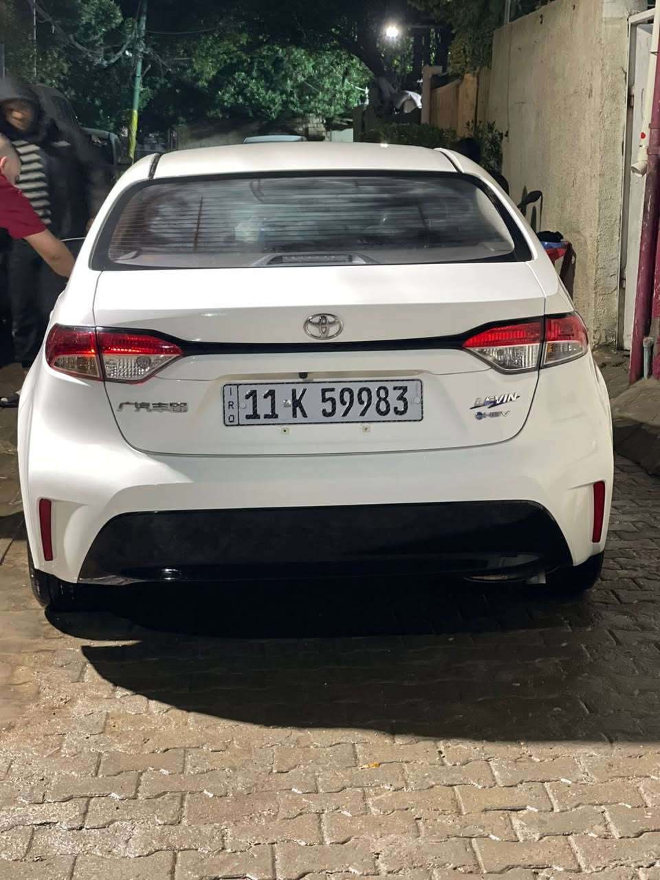 ‏
￼ كوريلا هابرتي 2025 ***********
