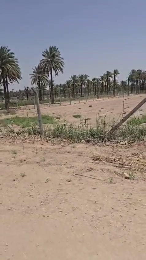السلام عليكم 
دونم للبيع طابو ملك صرف تحويل مباشر العنوان شارع 100 الرابط بزل حجي علي شارع الوائلي السعر 145 بي مجال للاستفسار الاتصال 
***********
***********
أو زياره مكتب 🛣️ السور الامين شارع 100 قرب مدرسة الطفوف
