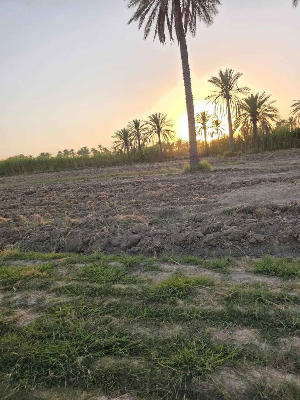 بيع مستعجل مزرعه للبيع 3 دونم  طابو 25  تحويل مباشر  في الفلوجه الشهابي مقاطعه 13 خلف مجمع الماسه قريبه ع توزيع الفلوجه الجديده ع النهر مباشر عرض المزرعه 75 والطول 100  تحتوي ع 50 نخله متعدد الاصناف  سعر الدونم الواحد 31 وبيها مجال
للاستفسار واتساب فقط او ماسنجر 
***********
