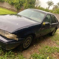 دايو برنس • الصلوعيه • بيها مجال