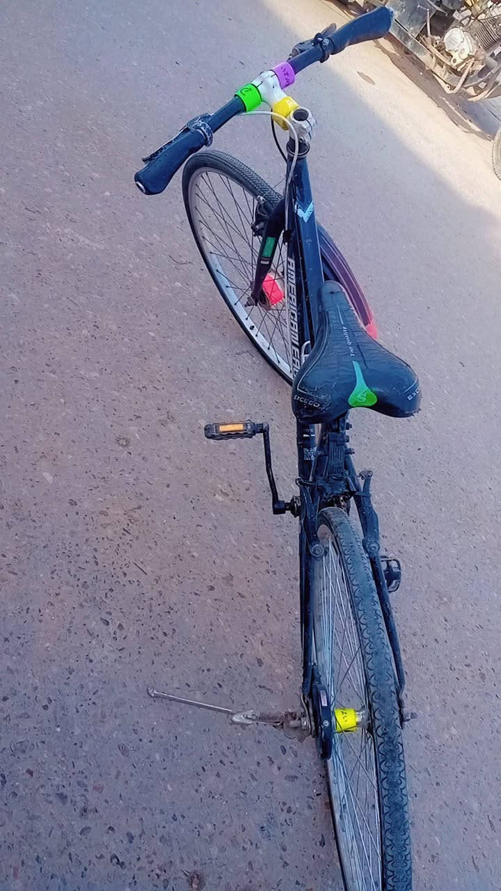 سلام عليكم باسكل للبيع جبلي السعر 40 وبيمجال الشراي يتصل ***********0 العنوان كربلاء  حي الغدير قرب حديقه الياسمين
