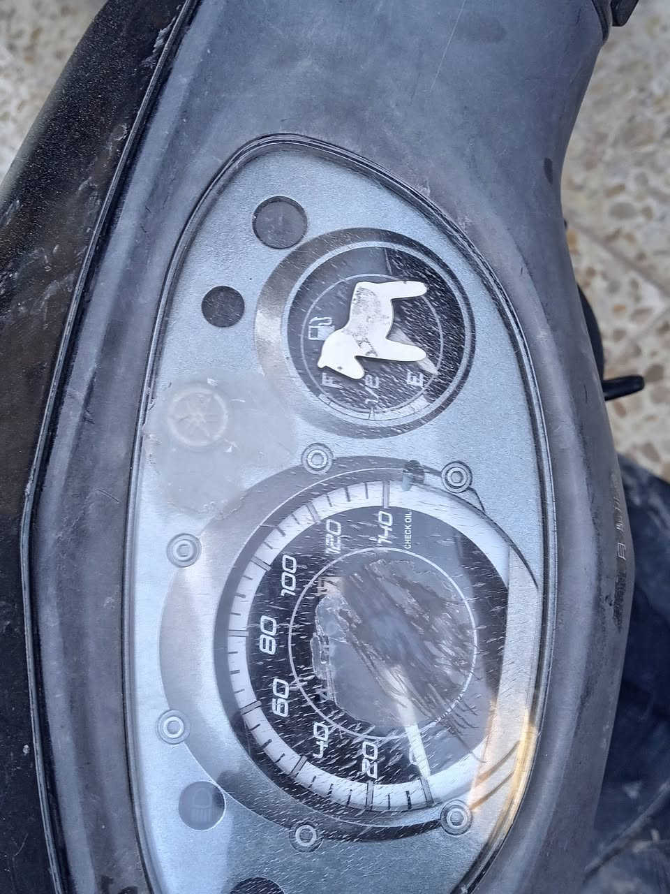 ثعلب 🦊مال رمبه صار اسبوع من منزله حته الكاتبه موجوده تجي تاخده من باب البيت سعره 750وبيه مجال المكان شعله الرقم ***********
