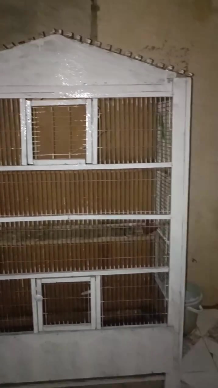 قفص طيور حب .الارتفاع متر ونص .لعرض متر ....سعر 75وبي مجال


**إذا كنت صاحب هذا الإعلان وتريد حذفه لأي سبب، رجاءا أرسل رسالة إلى الدعم الفني**