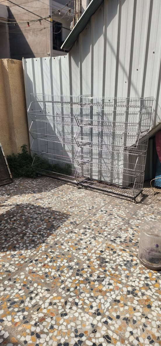الى اصحاب الذوق الرفيع نعرض عليكم عارضات جبس استيل العدد ٢ السعر الواحده ٧٥الف دينار قفل النظافه فول وبالحقيقه اجمل من الصوره طبعا بالسوق سعر الواحده  ١٢٥ الف فالي راغب باقتناء شي جميل ياخذهن ويترحم لوالدي


**إذا كنت صاحب هذا الإعلان وتريد حذفه لأي سبب، رجاءا أرسل رسالة إلى الدعم الفني**