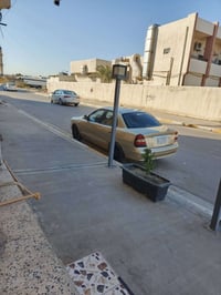 نوبرا ٢ • فلوجة