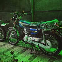 تعمير جديد • شاصي • اوراق صولي