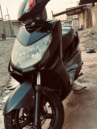 سكنس فحل • ياباني • بوشه ٤٩