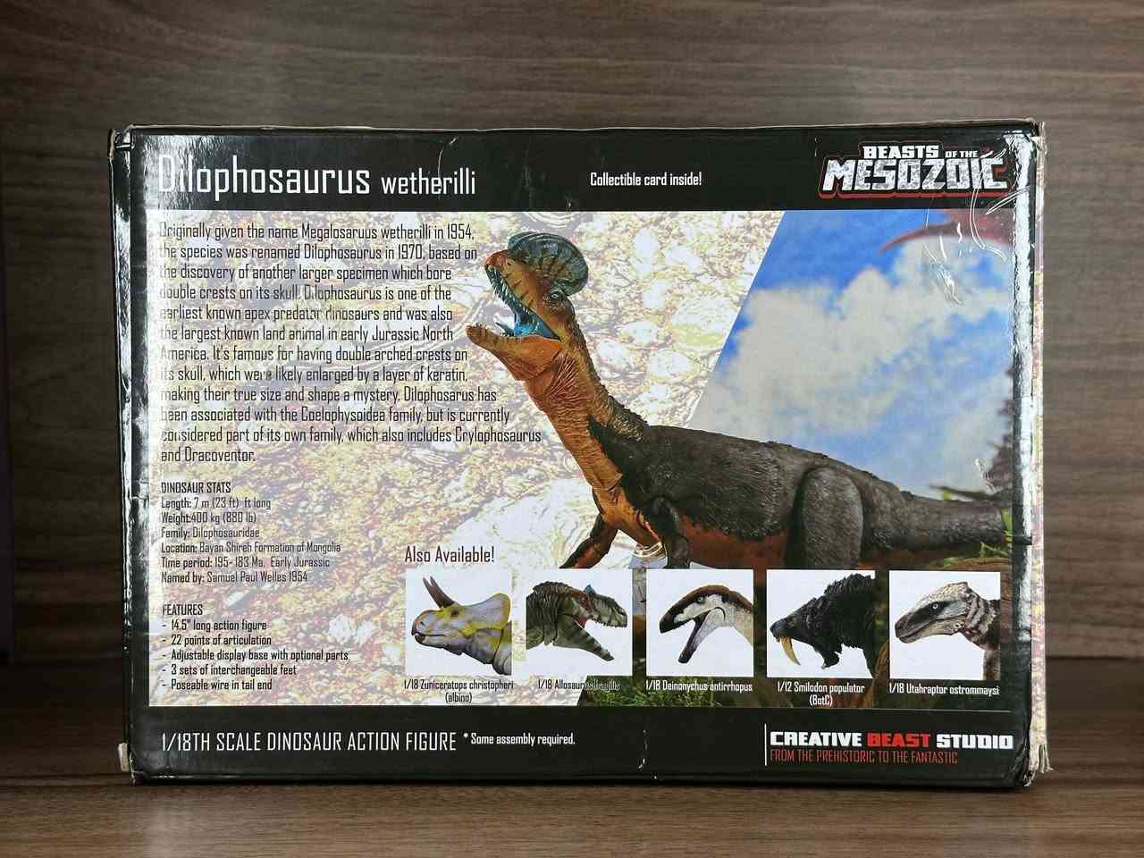 متوفر 🔥🔥
من النوادر 
ديناصور Dilophosaurus
.
Dilophosaurus wetherilli 1/18 Dinosaur Figure Beasts of the Mesozoic Cyberzoic
.
للطلب مراسلة الصفحة


**إذا كنت صاحب هذا الإعلان وتريد حذفه لأي سبب، رجاءا أرسل رسالة إلى الدعم الفني**