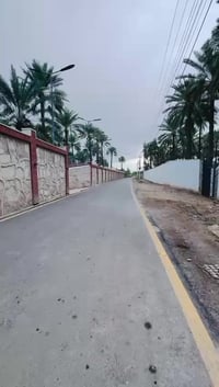 المدائن الجعارة • ١٠دونم • ملك صرف زراعي