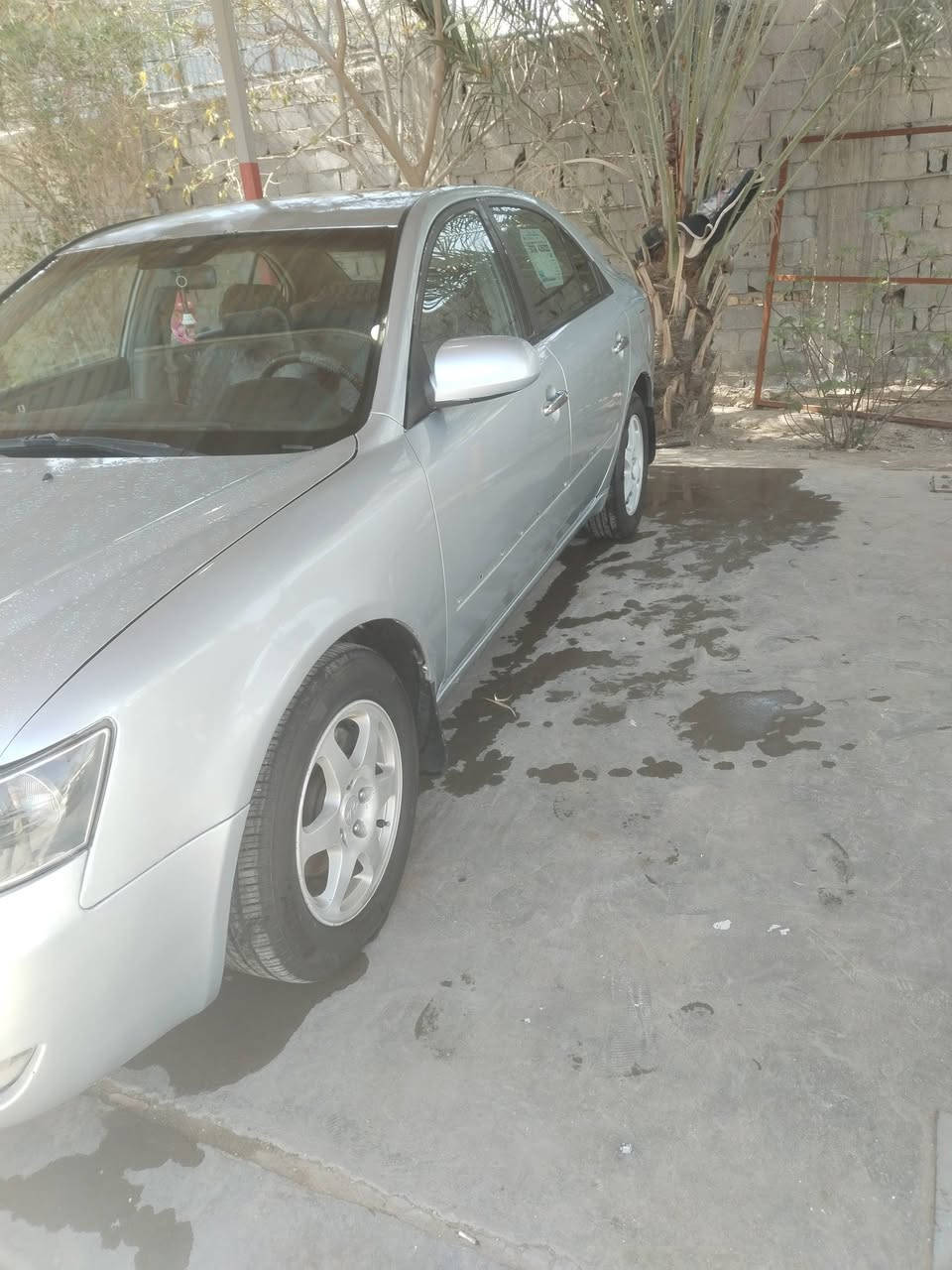 السلام عليكم ورحمة الله وبركاته
سوناته مقدس 2006 سياره جاهزه مصبوغه حزام أثر جراد سياره رقم جديد غرامات مصفره تبريد شغال تخم تاير جديد باتري جديد يعني جاهزه الاستفسار على رقم ***********
