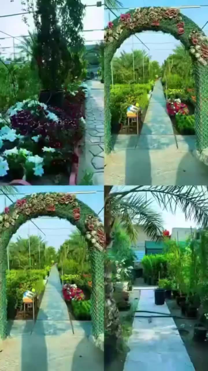 مشتل الزعفران يوجد لدينا جميع انواع الشتلات وألضلي والثيل الهندي درجة اولئ وتصميم الحدائق والمنتزهات العامه العنوان الزعفرانيه نهايه شارع المعهد عل سده قبل أسواق تفاحه *********** رضا الشمري
*********** ماجد ابو رضا
