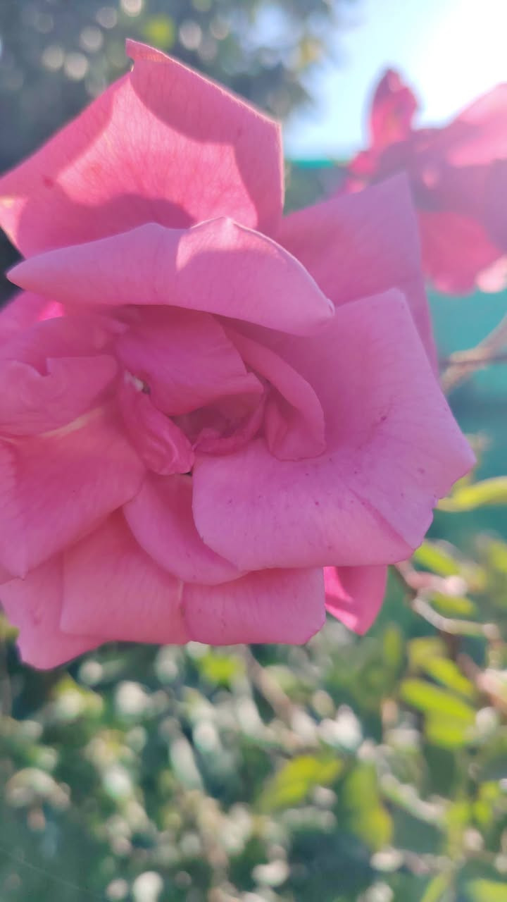 اسلام عليكم
السعر 180
المساحه دونم
العنوان بغداد الراشديه
الموقع قريت ال مصلح
الجبه 70
نوع العقد سند 25
الخدمات مي وكهرباء وما اساله
موقع هدؤ
الستفسار***********
راسلني واتساب ادزلك الموقع
ومتوفر عندي نص دونم هم للبيع
