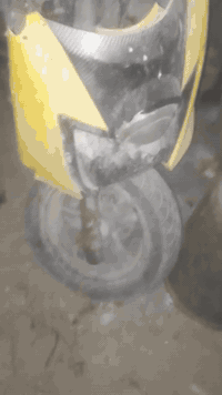 سكنس جبلي صيني البيع تفصيخ ب 50 الف جيب ستوته وشيل مكاني كربلاء حي شهداء الموظفين رقم ***********
