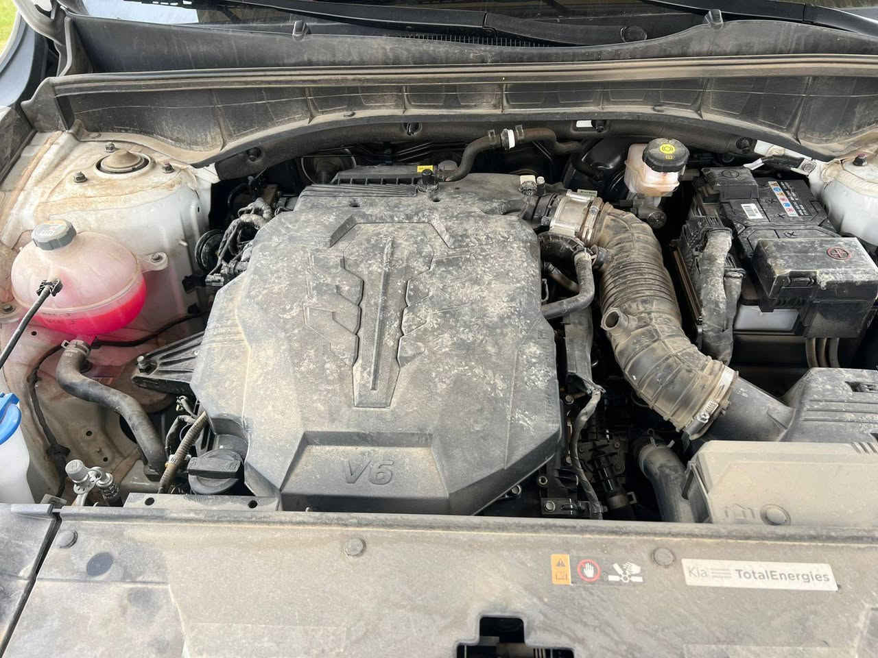 سلام عليكم
سورنتو2025 خليجي مكفولة من جكت الابرة(رقم اربيل)

السياره ضمان الشركه 

زيروو ماشية7الف

((مواصفات السيارة ))

محرك//6سلندر

بصبة تشغيل+بصمه ابواب+تشغيل عن بعد

*كير موس

*ويل 20

*مثبت سرعه

*سايد بريك بصمه

*حساسات اماميه خلفيه 6 جهات

*ضوئيه زينون+LED+كاشفات

*باك لايت LED

*شفتان مقود

*شاشه كبيره نكفيشن

اضاءه داخليه هادئه لمس ( الاضاءه ثلجيه امامي خلفي من جانبين الكراسي الخلفيه)

مقاعد مخمل ( كهربائيه)

*شاشه لمس تبريد

*ثلاث قطع تبريد

*نظام -مانع انزلاق+نزول منحدرات

*اشاره بالمري الجانبيه

*منفذ طاقه + شاحن لاسلكي

صندوق كهرباء

عنوان ديالئ الخالص  

سعر330وبيهة مجال

***********
