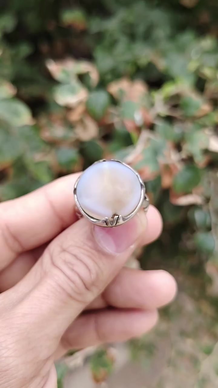 جزع يماني ملاكط مشگول ألمهتم يتفضل خاص ويدلل،


**إذا كنت صاحب هذا الإعلان وتريد حذفه لأي سبب، رجاءا أرسل رسالة إلى الدعم الفني**