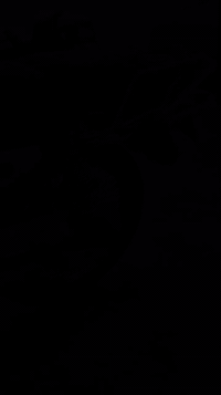 لسلام عليكم  نامي برو    سونلك اربعه گير موديل 25محرك امبدل ولفات فقط كامل مكمل شوف العين فول نضافه السعر 650او بي مجال اتصل عل رقم والخاص مفتوح *********** جماعة ال575 المنشور مو الكم
