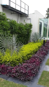 كربلاء • تنظيف حدائق • منظومات سقي