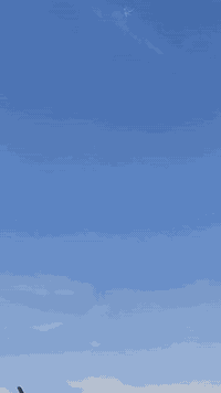 سلام عليكم مراوس بجالنجر سوناتا2017حادث خلفي وبل عراق صار بيه جاملغ ولباب صبغ بجم كبس قطعتين صبغ بس القماره ولبنيد بيهن تكشير معروف كله يكشر سعر 133 مراوس بسعره هزه وسنويه جديده


**إذا كنت صاحب هذا الإعلان وتريد حذفه لأي سبب، رجاءا أرسل رسالة إلى الدعم الفني**