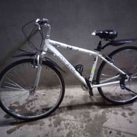 بيسكل • ساده بعويزه • خاص